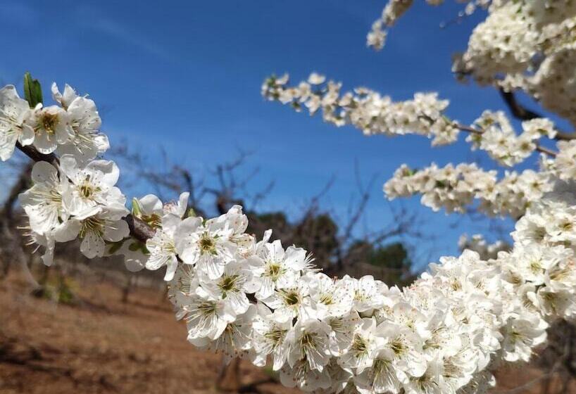 ペンション Borghetto Pedale