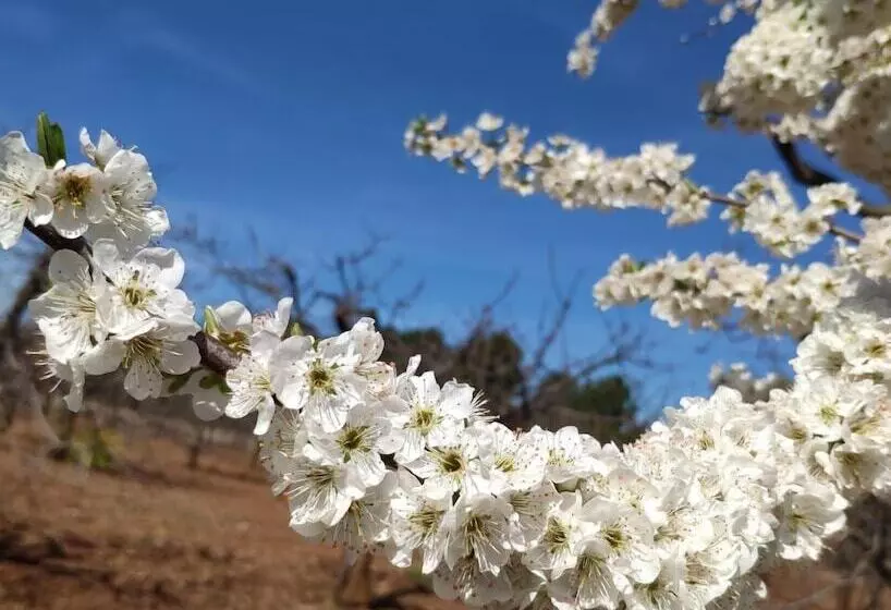 ペンション Borghetto Pedale