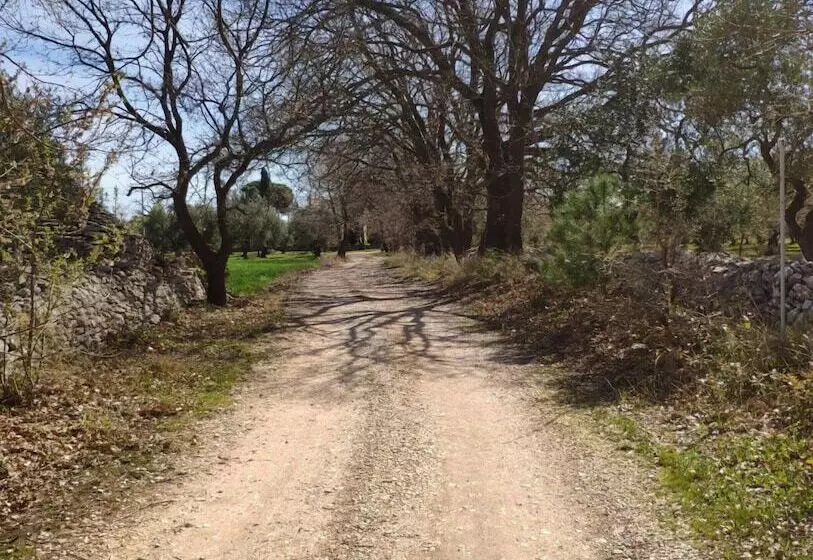 ペンション Borghetto Pedale