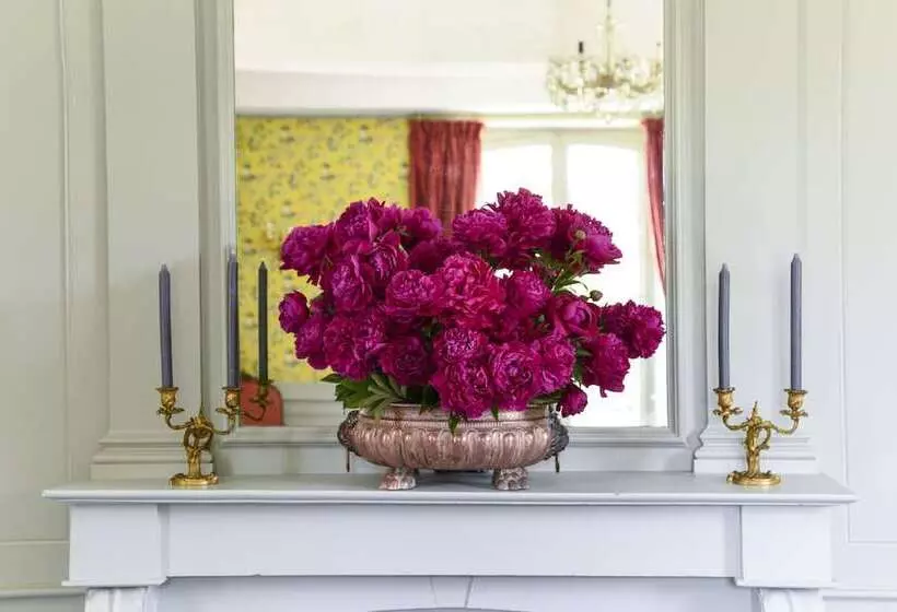 Aamiaismajoitus (B&B) Chateau De La Villedubois