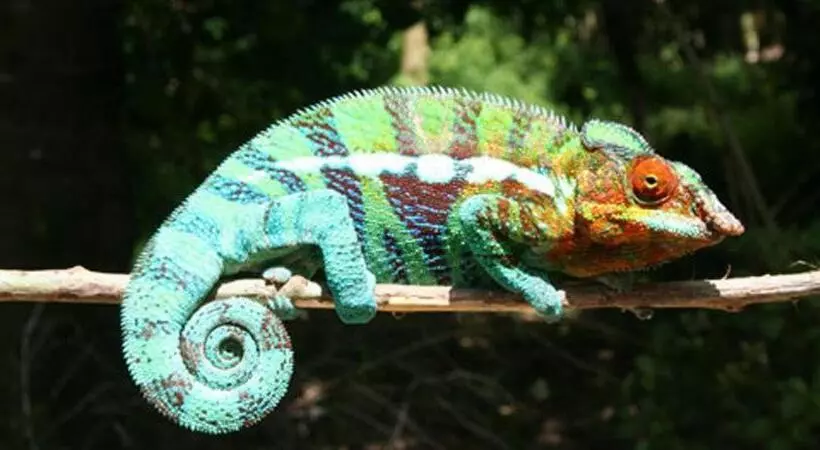 پانسیون Jj Et Euphrasie Lodge