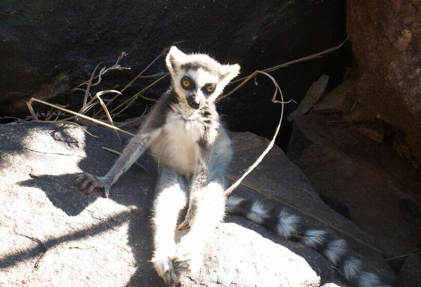 پانسیون Jj Et Euphrasie Lodge