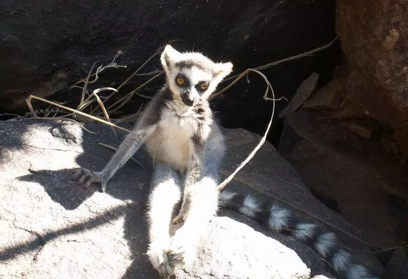 پانسیون Jj Et Euphrasie Lodge