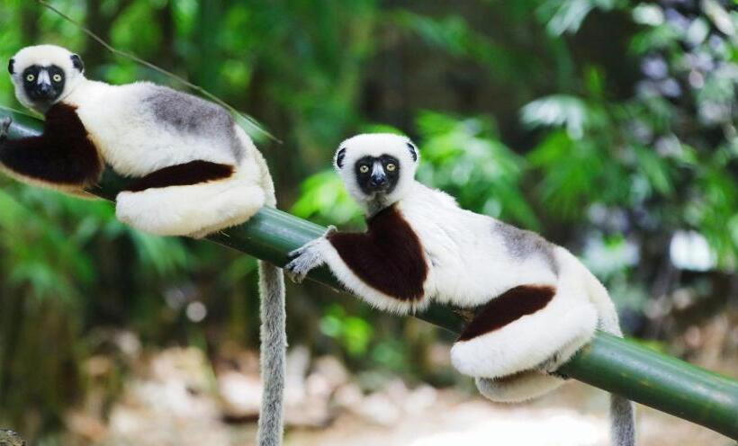 پانسیون Jj Et Euphrasie Lodge