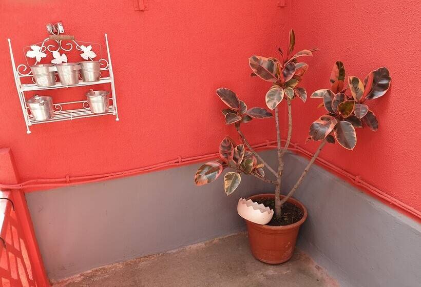 تختخواب و صبحانه Solar Transmontano