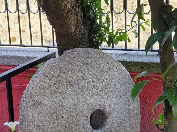 تختخواب و صبحانه Solar Transmontano