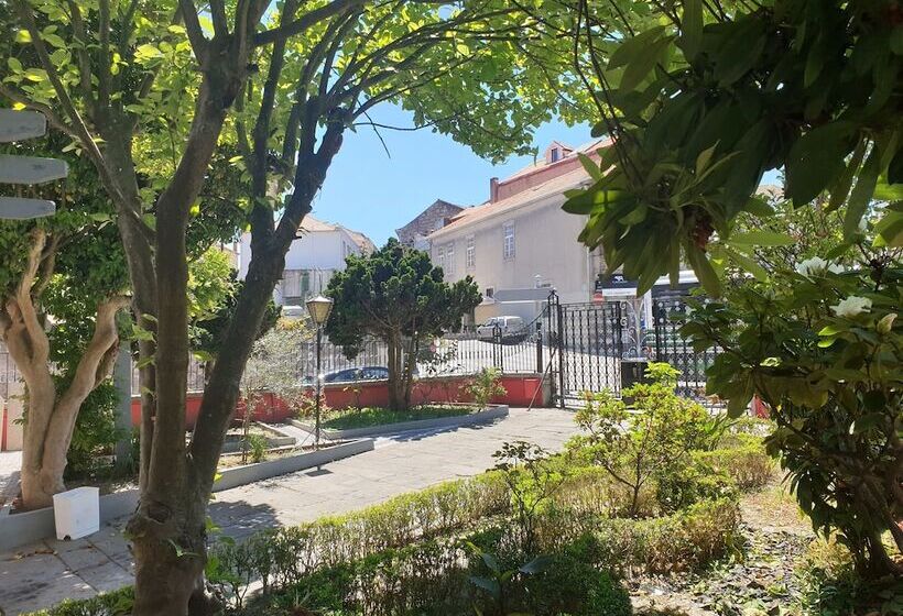 تختخواب و صبحانه Solar Transmontano