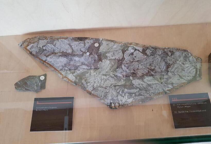 هتل Brjánslækur Gamli Bærinn