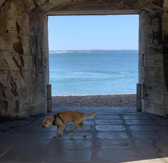 住宿加早餐  The Wellington Restaurant And Bar