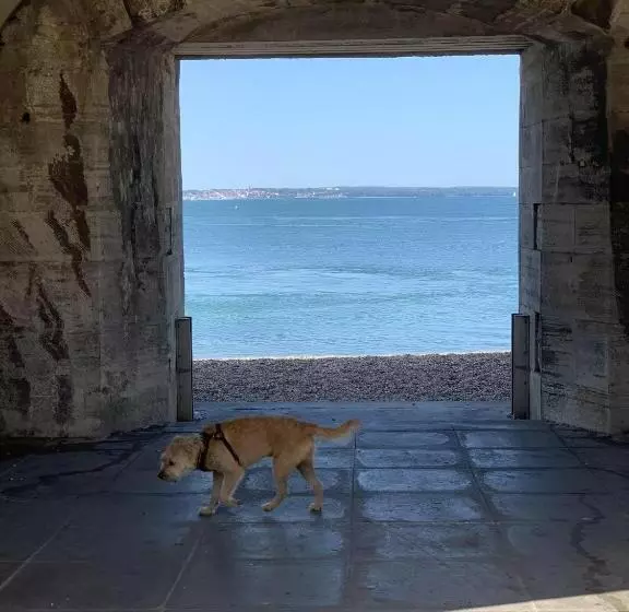 ベッドアンドブレックファースト The Wellington Restaurant And Bar