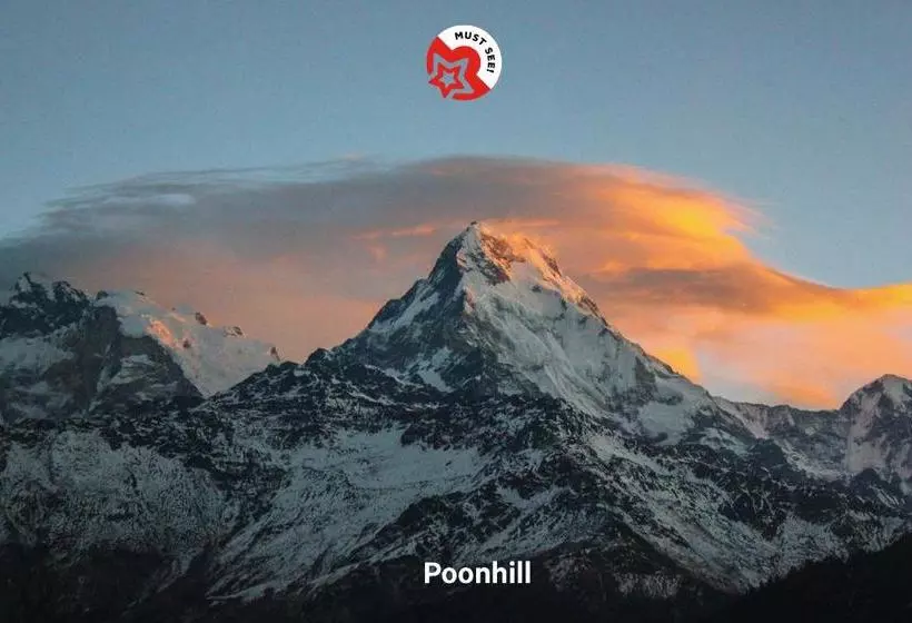 Hotel Oyo 401 New Star & Restaurant