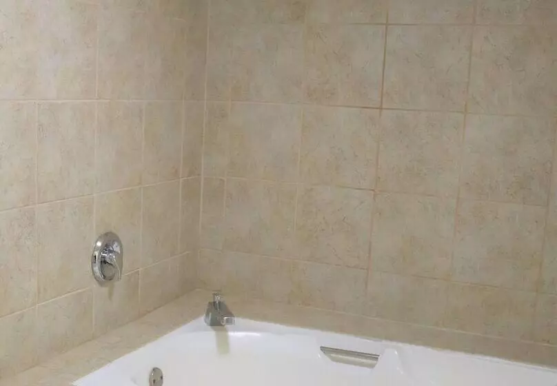 ホテル Baymont By Wyndham Norcross Atlanta