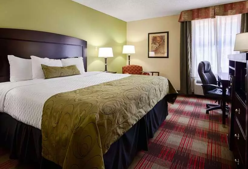 酒店 Best Western Plus Addison/dallas