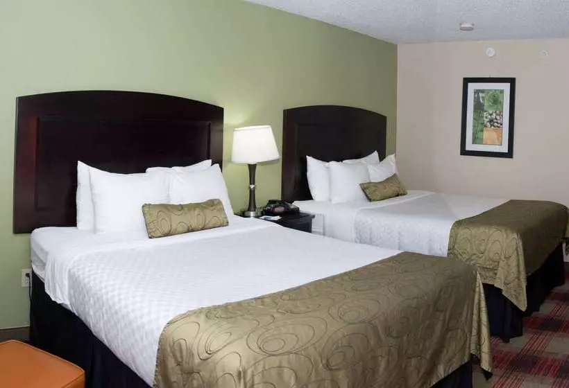 酒店 Best Western Plus Addison/dallas