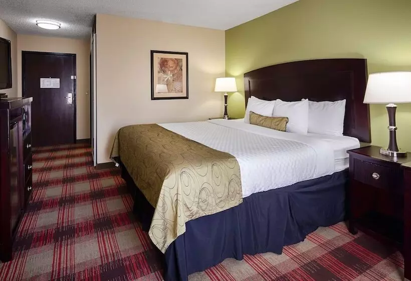 酒店 Best Western Plus Addison/dallas