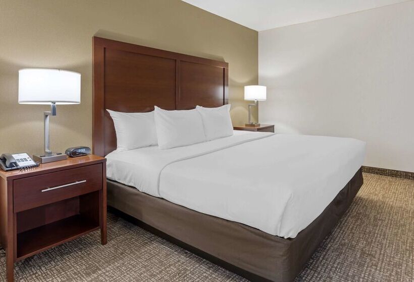 ホテル Comfort Inn Marina On The Monterey Bay