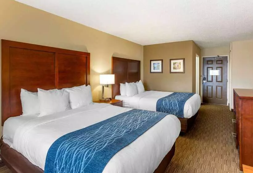 Отель Comfort Inn Rockford Near Casino District