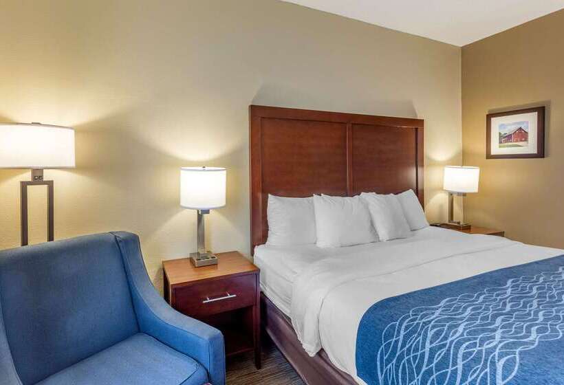 فندق Comfort Inn Rockford Near Casino District