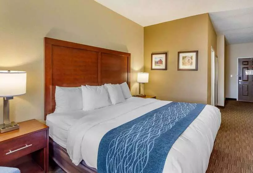Отель Comfort Inn Rockford Near Casino District