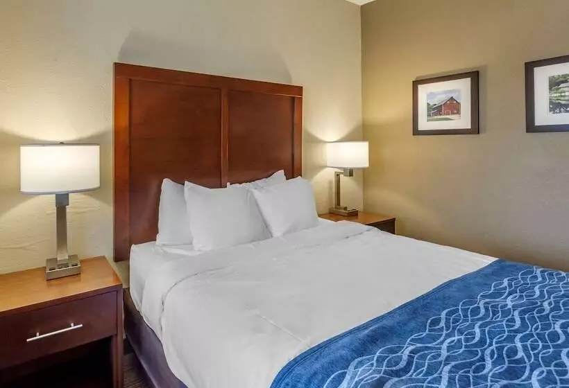 Отель Comfort Inn Rockford Near Casino District
