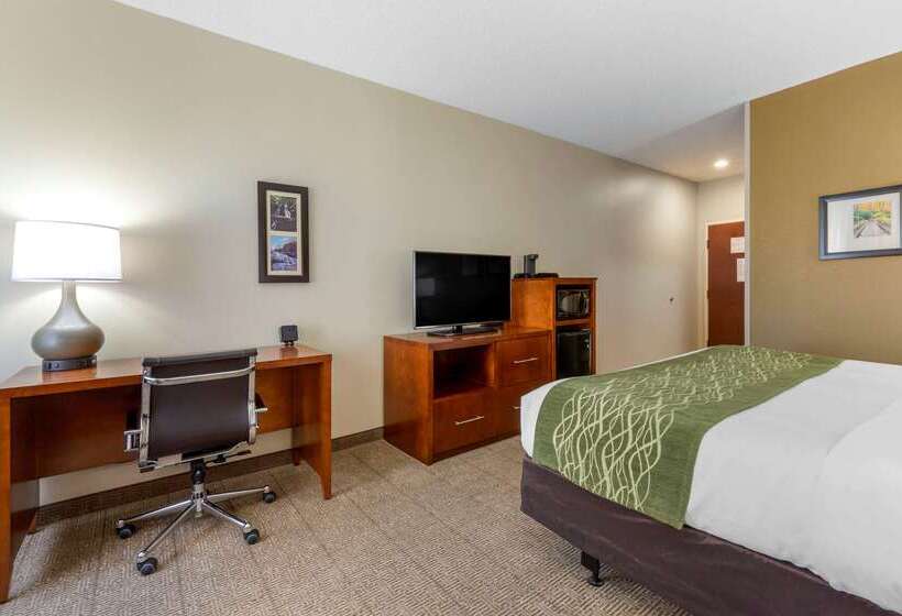 酒店 Comfort Inn & Suites Lenoir Hwy 321 Northern Foothills