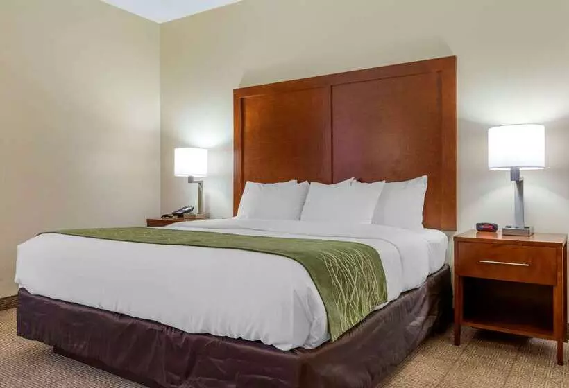 ホテル Comfort Inn & Suites Lenoir Hwy 321 Northern Foothills