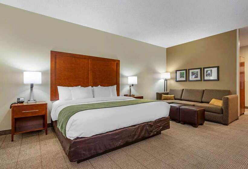 酒店 Comfort Inn & Suites Lenoir Hwy 321 Northern Foothills