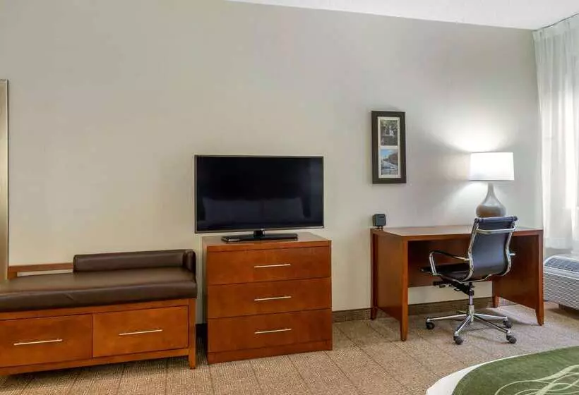 ホテル Comfort Inn & Suites Lenoir Hwy 321 Northern Foothills