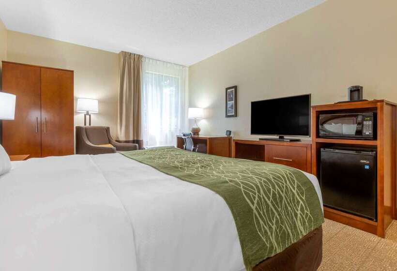 酒店 Comfort Inn & Suites Lenoir Hwy 321 Northern Foothills