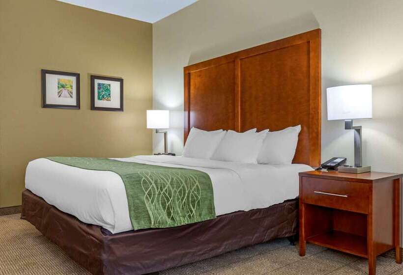 酒店 Comfort Inn & Suites Lenoir Hwy 321 Northern Foothills