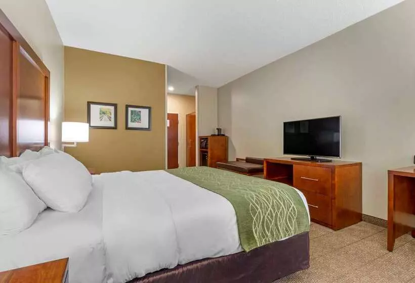 ホテル Comfort Inn & Suites Lenoir Hwy 321 Northern Foothills