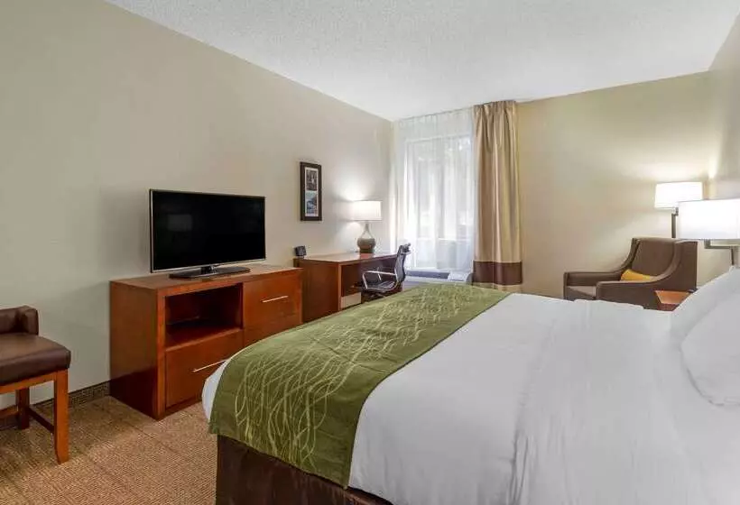 ホテル Comfort Inn & Suites Lenoir Hwy 321 Northern Foothills