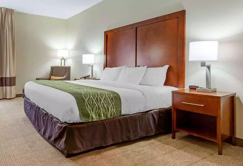 ホテル Comfort Inn & Suites Lenoir Hwy 321 Northern Foothills