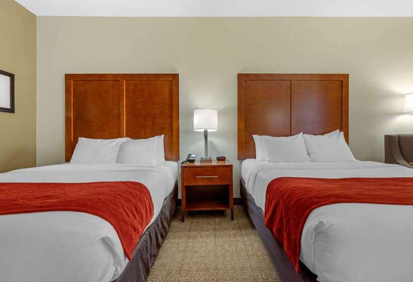 酒店 Comfort Inn & Suites Lenoir Hwy 321 Northern Foothills