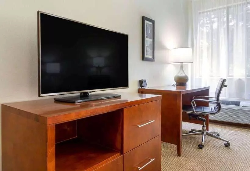 ホテル Comfort Inn & Suites Lenoir Hwy 321 Northern Foothills