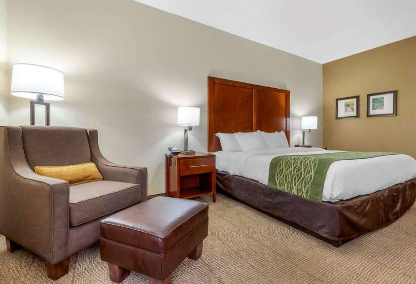酒店 Comfort Inn & Suites Lenoir Hwy 321 Northern Foothills