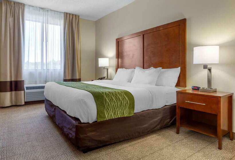 酒店 Comfort Inn & Suites Lenoir Hwy 321 Northern Foothills