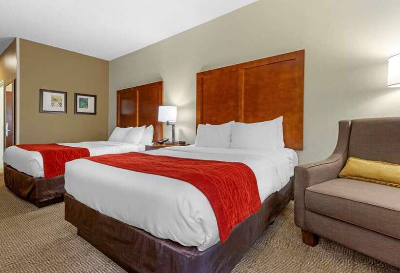 酒店 Comfort Inn & Suites Lenoir Hwy 321 Northern Foothills