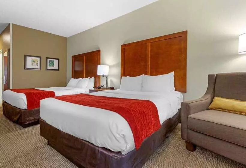 ホテル Comfort Inn & Suites Lenoir Hwy 321 Northern Foothills