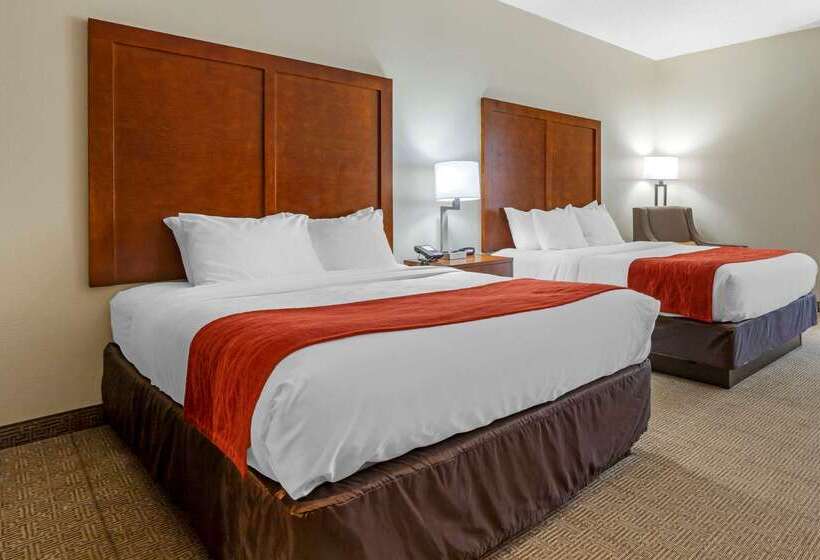 酒店 Comfort Inn & Suites Lenoir Hwy 321 Northern Foothills