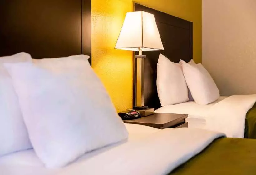 Hotelli Quality Inn At Arlington Highlands