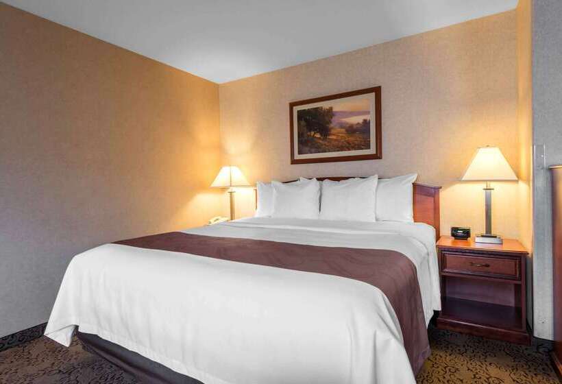 فندق Quality Inn