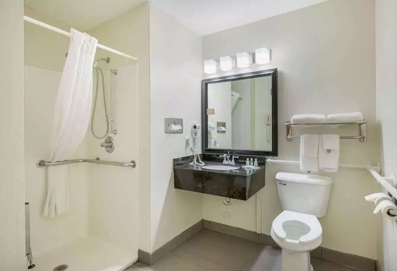 ホテル Quality Inn