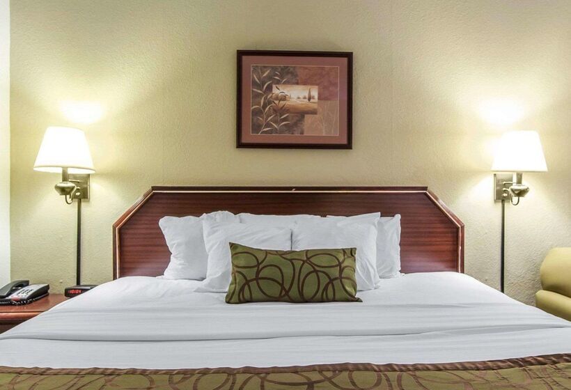 Отель Quality Inn Downtown