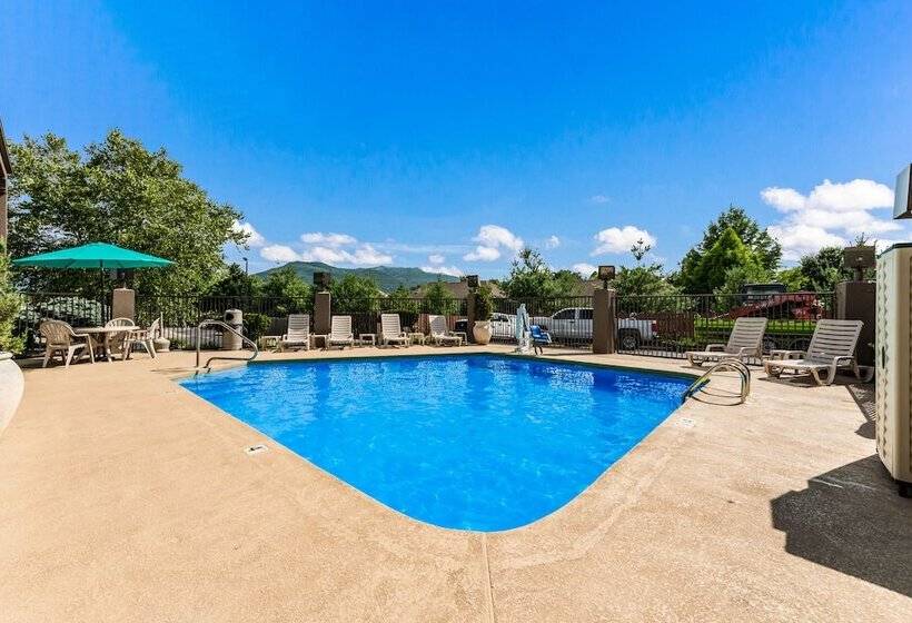 Отель Quality Inn Downtown