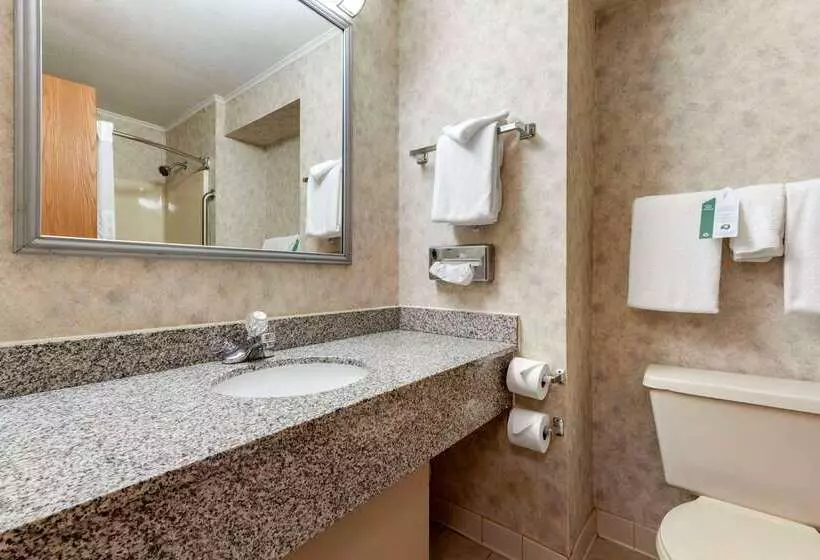 酒店 Quality Inn Selinsgrove