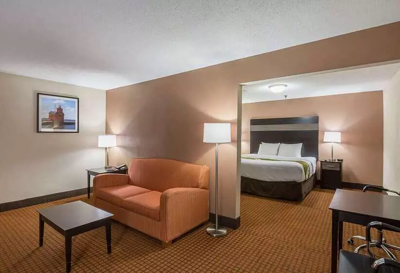 Отель Quality Inn & Suites