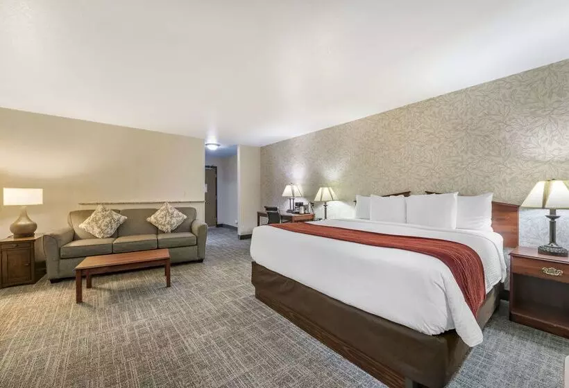 Surestay Plus Hotel By Best Western Buffalo