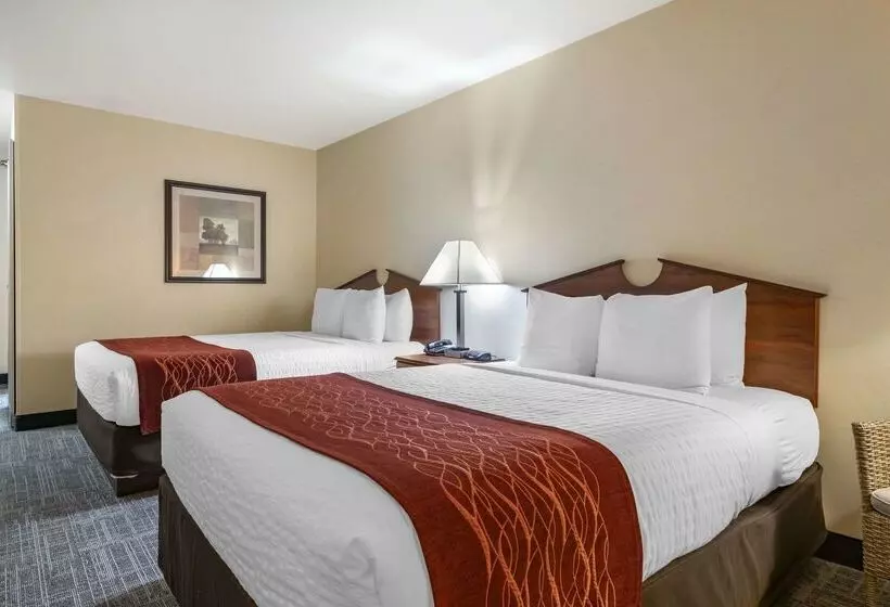 Surestay Plus Hotel By Best Western Buffalo