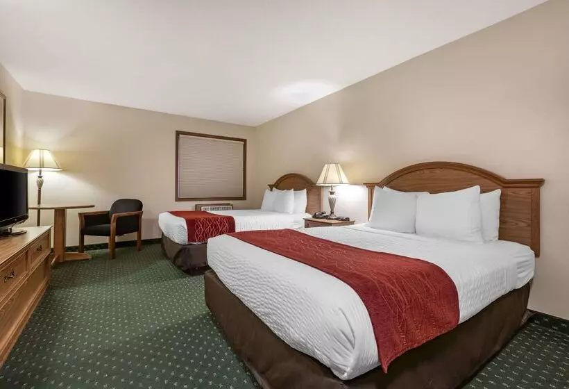 Surestay Plus Hotel By Best Western Buffalo
